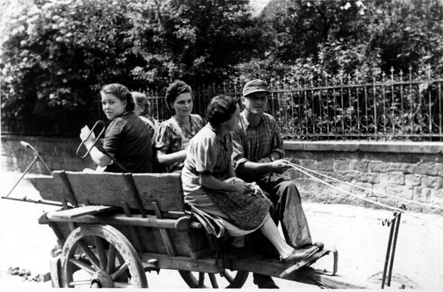 Gruppe bei der Fahrt zum Rübenhacken 1952